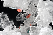 Microplastics on table salt. Tiny fragments and filaments of plastic inside and among cuisine salt crystals photographed with 5x enlargement. The presence of microplastics in the seawater has been revealed as hazardous. Three possible toxic effects of plastic particle have been indicated: first due to the plastic particles themselves, second to the release of persistent organic pollutant (POPs) adsorbed to the plastics and third to the leaching of additives of the plastics. We are eating plastic particles every day indirectly by ingesting contaminated marine animals and directly through the cooking salt with which we season the food. Saline salt collected from the west coast of Portugal.