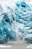 Velâge du glacier de l'Eternité et oiseaux de mer, Groenland