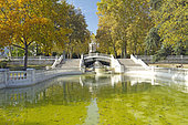 Fountain, pond and London plane (Platanus x hispanica) in Darcy Garden, Dijon, Côte-d'Or, France
