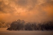 Sunrise over trees with fog at Lago Llanquihue, Puerto Varas, Patagonia, Carretera austral, Chile, South America