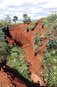 Lavaka near Lake Andraikiba, Vakinankaratra, Madagascar