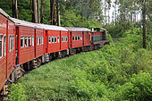 Train crossing the tea plantations, Sri Lanka