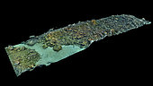 Tara Pacific expedition - november 2017 Bubble site 3D model preview  9°49'25" S 150°49'2" E, Bubble site, Normanby Island, Papua New Guinea, preview of animated photogrammetry model, Bubble Reef. This is a punctual record of a volcanic seeps site that is being investigated by several scientific missions. The scaled, georeferenced 3Dmodel is of millimetric resolution, it covers about 1000 m2 and includes the transect area of 600 m2 which has been investigated by the Tara team in 2017.