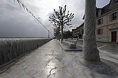 Ice at the edge of Lake Geneva during the episode of bise 27 February 2018. In late winter, the stormy wind rises and causes an episode of ice around Lake Geneva. In Versoix (Switzerland), September 27, 2018, the spray instantly freezes in contact with the ground and frozen surfaces. Swiss