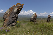 Monoliths in the steppe, Korats Karer Historical Reserve, Karahunj, Armenia.