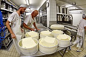 Morbier cheese making, Cheese factory, Damprichard, Doubs, France