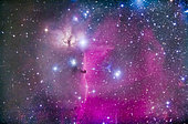 The Horsehead Nebula, B33, below the Belt of Orion and the star Alnitak, along with the bright Flame Nebula, NGC 2024, to the left of Alnitak. Many other bright reflection nebulas populate the field, such as NGC 2023 just left of the Horsehead itself. The quintuple star system Sigma Orionis is right of the Horsehead. The dark Horsehead is set against the bright streak of the emission nebula IC 434. This is a stack of 10 x 4 minute exposures with the Celestron Rowe-Ackerman Schmidt Astrograph, a 620mm focal length f/2.2 astrograph in hand for review, and using the filter-modified Canon 5D MkII at ISO 400. Autoguided on the Mach 1 mount. Taken from New Mexico, Nov 28, 2014.