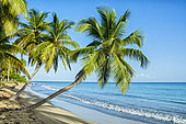 Coson beach is one of the most beautiful beaches of Las Terrenas, where you can find a wide variety of restaurants, bars and hotels where you can spend a few days of relaxation and fun. This beach has enviable conditions, as its fine sand and crystal clear waters make a perfect pack to spend a perfect day at the beach.