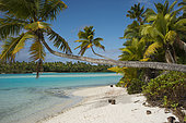 Aitutaki. Cook Island. Polynesia. South Pacific Ocean. Beach in One Foot Island. One Foot Island is asmall island in the district of Aitutaki of the Cook Islands in Australia. It is also known as Tapuaetai and is one of 22 islands of the atoll. You can only reach this island via a short boat trip from the main island. It is said that One Foot Island gives the visitors the best view of the Aitutaki lagoon. It was awarded ôAustralias Leading Beachî at the World Travel Awards held in Sydney in June 2008. The island is uninhabited, but you can buy small things at the local shop. The beaches of OneFoot Island are white, and the water is crystal clear. This is not only a paradise for divers and snorkelers but also for those wanting to enjoy the beach and the sand. Climate: Since the islands are South of the equator, the seasons are opposite to those of Europe and North America. The cooler, drier season is from April to November and the warmer, more humid season is from December to March. The average temperature is 27 Celsius. Regularly listed as one of the most romantic places on Earth, and the second-most visited island in the Cooks, Aitutaki is famous for its impossibly crystal-clear, turquoise water of its central lagoon, tiny motus (islets) and pristine, palm-shaded beaches. Inland, Aitukati's rolling hills are a patchwork of banana plantations and coconut groves. 220 kilometres from Rarotonga and easily accessible by air, flying over Aitutaki is breathtaking. The immense, turquoise lagoon appears to float on the deeper blue of the Pacific, and is speckled with 15 uninhabited motus and brightly coloured corals just below the shimmering liquid surface. this is the ultimate blue lagoon. A leisurely walk to the summit of Aitutaki's highest peak, Maungapu, might only reach an elevation of a little over 120 metres, but it delivers sweeping views that are sure to leave you breathless. Another popular spot is the beautiful One Foot Island, where the TV show Survivor w