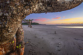 Sunset on the beach of Bambo West next to some mangroves dotted on the beach. Mayotte