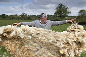 Eleveur vérifiant la toison d'un mouton, Tonte des moutons, Angleterre