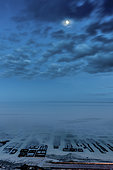 Cancale oyster farm int the moonlight, Brittany, France