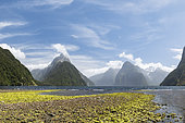 Milford Sound, Fiordland National Park, South Island, New Zealand