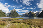 Milford Sound, Fiordland National Park, South Island, New Zealand