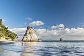 Sea Stack at Cathedral Cove, Te Whanganui-A-Hei, Coromandel Peninsula, North Island, New Zealand