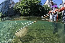 Mid-air mid-water view of an electric fishing backup before work in the river for the restoration of ecological continuity on the Lergue, Lodève, Hérault, Occitanie region, France