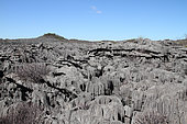 Ankarana National Park, view of tsingy, ancient fossil coral reef with sharp edges emerges from the ocean, PN 18 220 ha over 35 km, overall plan, Northwest Madagascar