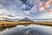 Stratovolcano Mount Taranaki or Mount Egmont reflected in Pouakai Tarn, Mount Egmont National Park, Taranaki, North Island, New Zealand, Oceania