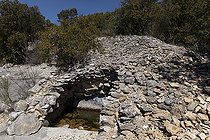 Aiguier 'Grognard', Saint-Saturnin-lès-Apt, Vaucluse, Provence, France