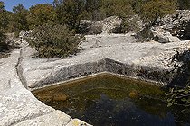 Aiguier 'Grognard', Saint-Saturnin-lès-Apt, Vaucluse, Provence, France