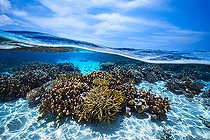 Mid mid air view of the coral reef of Mayotte lagoon at low tide.