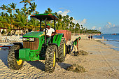 Sargassum seaweed and plastic bottles on a beach of Punta Cana. Dominican Republic.