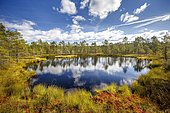 Moor landscape with lake and cloudy sky, Knuthöjdsmossen, Sweden, Europe