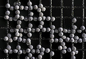 Noctuid moth eggs laid on window screen.