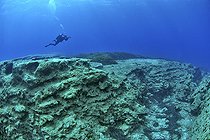 Diver above the seabed, in the Gulf of Bomba, Libya