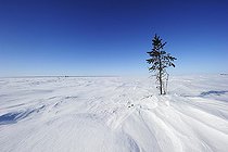 Arctic landscape, Hudson Bay, Wapusk National Park, Manitoba, Canada, North America