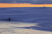 Aubrac plateau, cross above Lac des Moines caught by ice, Aubrac regional natural park, Aveyron, France