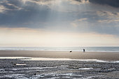 People strolling on a beach on the Opal Coast, Escalles, Pas de Calais, France