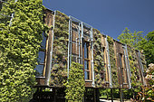 Green wall, Parc school, Obernai, France