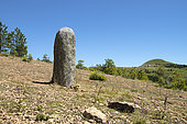 Menhir and Puech de Mariette, Cham des Bondons, Lozere, France