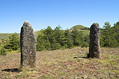 Menhirs and Puech de Mariette, Cham des Bondons, Lozere, France