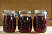 Preserving jars, cherries, kitchen, house, Belfort, Territoire de Belfort, France