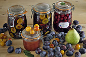 Preserved fruit, jars, fruit in syrup, compote, Quetsche d'Alsace plums (Prunus domestica), plums, pear, cherries, fruit, kitchen, Belfort, Territoire de Belfort, France