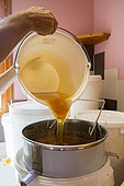 Bucket of honey extracted from the centrifuge poured into a sieve in order to eliminate part of the residue, around Cluny, France