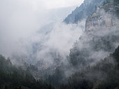 Entrance of the Gorges de Saint Pierre, Alpes, Alpes de Haute Provence, France