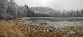 Frosted peat bog and dungeon of the old castle of Waldeck, Vosges du Nord Regional Nature Park, France