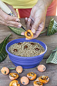 Stratification of Loquat seeds