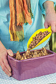 Step-by-step preparation of a forced narcissus planter. Filling the space between the bulbs with expanded clay.