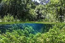 Mid-air mid-water view of the source of the Durzon River, upstream of the town of Nant, Aveyron, Occitania, France