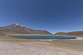 Miscanti Laguna and Miñiques volcano, Los Flamencos National Reserve, San Pedro de Atacama, Chili