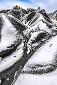 Les Terres Noires de Robine sur Galabre sous la neige. Marnes du Jurassique (Toarcien) riches en matières organiques, tendres et très sensibles au ravinement, colonisées essentiellement par des pins sylvestres et formant des reliefs remarquables dans la Réserve Géologique de Digne, Alpes de Haute Provence, France