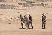 Kruger National Park rangers carrying a tusk that has just been extracted to the root of the body of a naturally dead elephant (Loxodonta africana) in order to fight against poaching, Kruger NP, South Africa