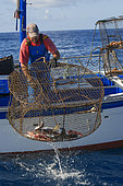 Professional fishing sector. Artisanal fishing with cages for fish. Tenerife, Canary Islands. Atlantic Ocean, Macaronesia.