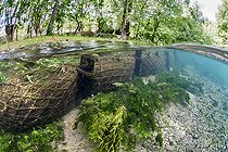 Air-water view of the riverbank restoration work carried out near the source of the Lez, Hérault, Occitanie, France. Plant engineering techniques. Fascine or socks of pre-vegetated helophytes in coconut fibre.