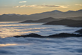 Sea of clouds in the Vosges. In December 2019, temperatures reaching 10 degrees at altitude and negative on the ground favoured the formation of low clouds, known as stratus, in the Alsace plain. This sea of clouds was photographed from the heights of the Haut-Koenigsbourg castle. Alsace, France