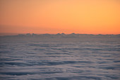Alps above Sea of clouds in the Vosges. In December 2019, temperatures reaching 10 degrees at altitude and negative on the ground favoured the formation of low clouds, known as stratus, in the Alsace plain. This sea of clouds was photographed from the heights of the Haut-Koenigsbourg castle. Alsace, France